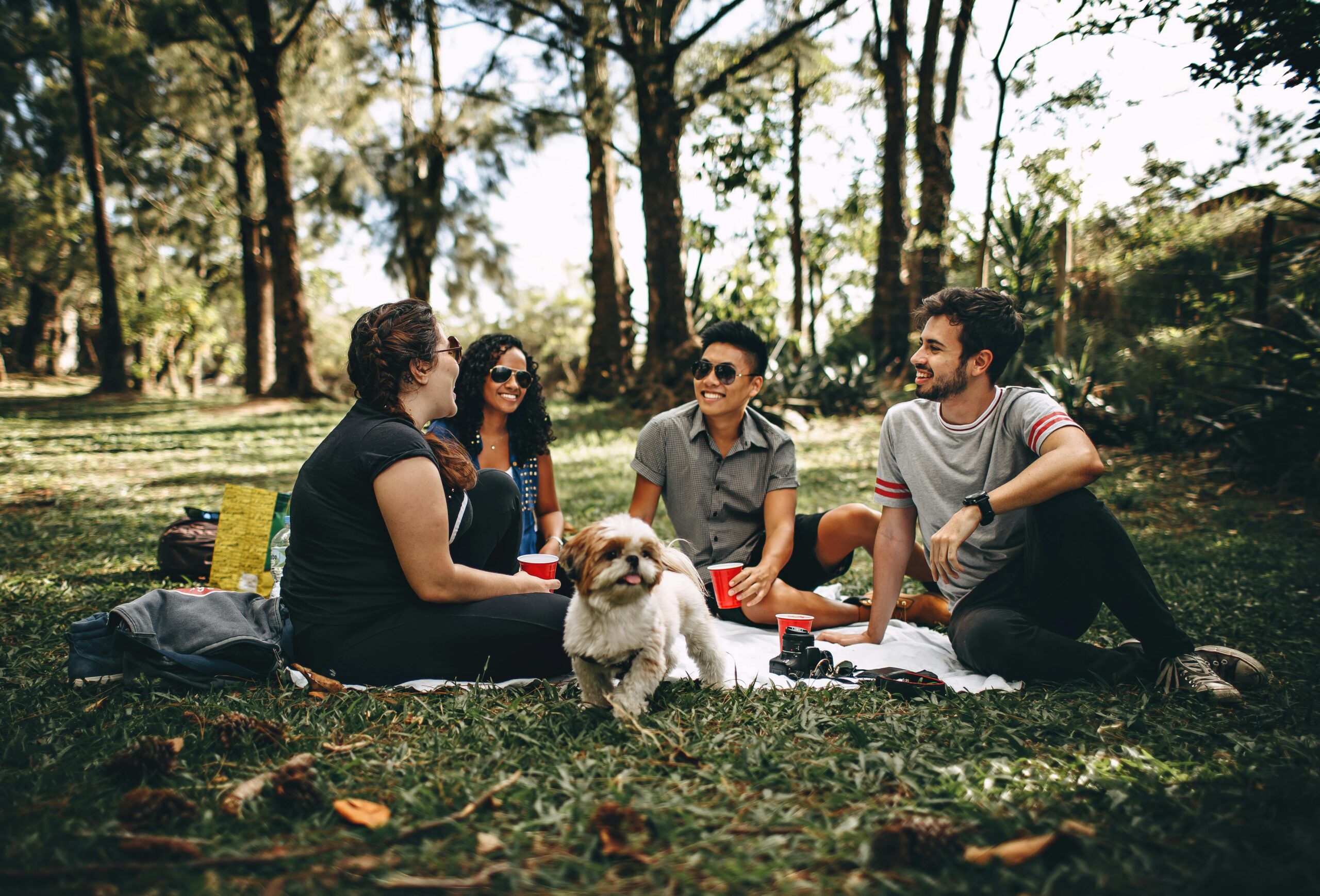 Picnics